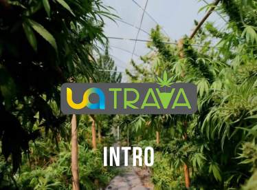 UATRAVA – бренд, ритм и культура осознанного баланса